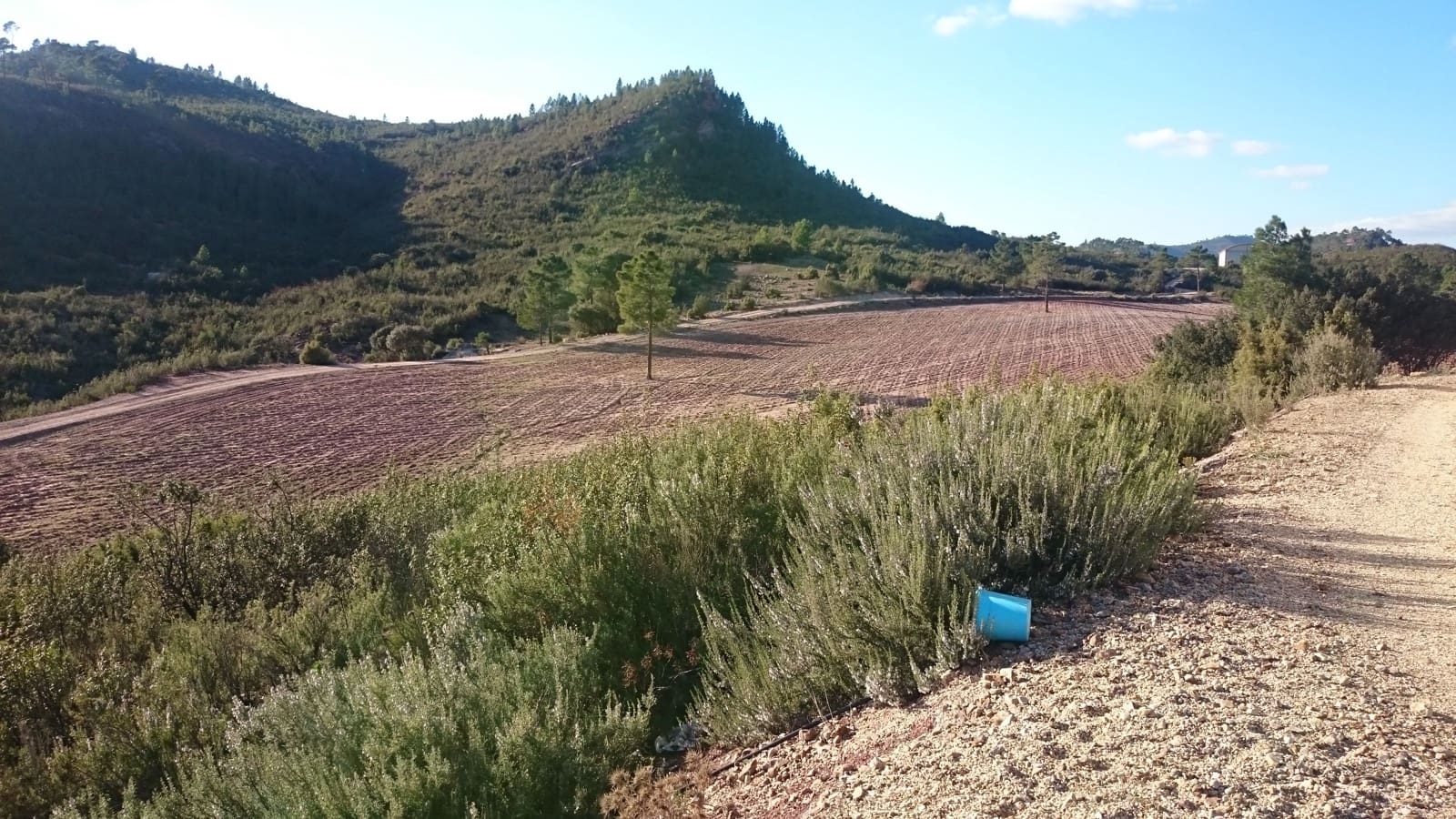 Finca/Country House for sale in Cuenca city - € 6,000,000 (Ref: 9495005)