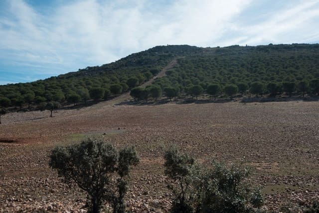 Finca/Country House for sale in Ossa de Montiel - € 5,000,000 (Ref: 9495006)