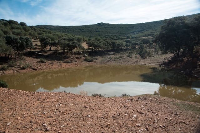 Finca/Country House for sale in Ossa de Montiel - € 5,000,000 (Ref: 9495006)