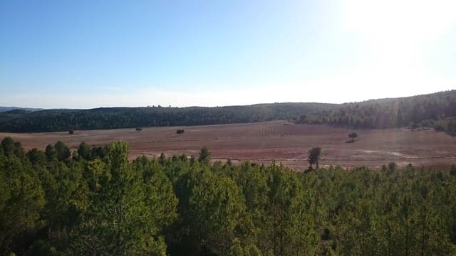 Finca/Country House for sale in Ossa de Montiel - € 5,000,000 (Ref: 9495006)