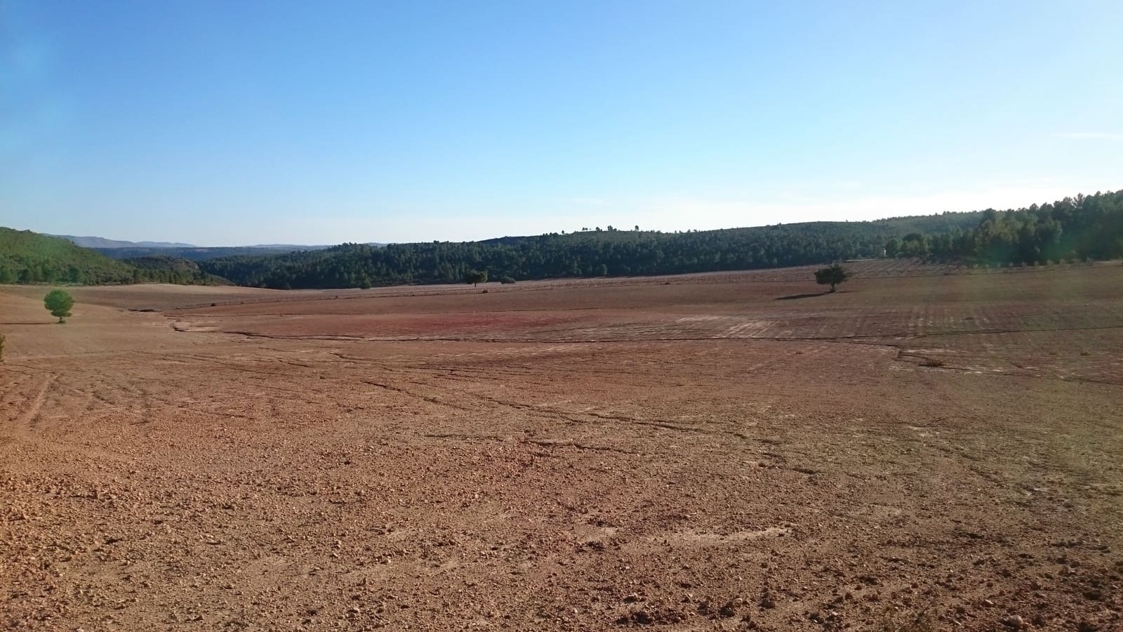 Finka/Dom wiejski na sprzedaż w Ossa de Montiel - 5 000 000 € (Ref: 9495006)