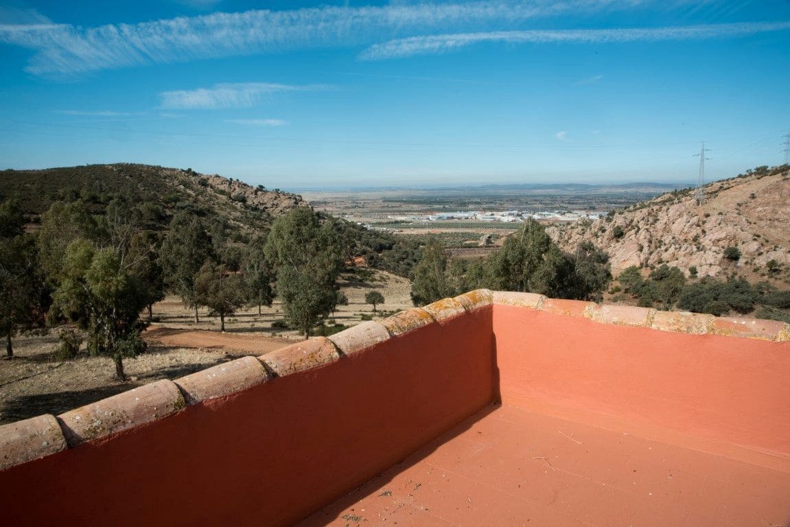 Finca/Country House for sale in Puertollano - € 3,500,000 (Ref: 9495007)