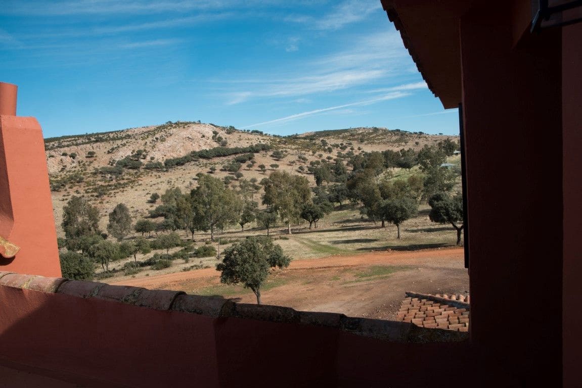 Finca/Country House for sale in Puertollano - € 3,500,000 (Ref: 9495007)