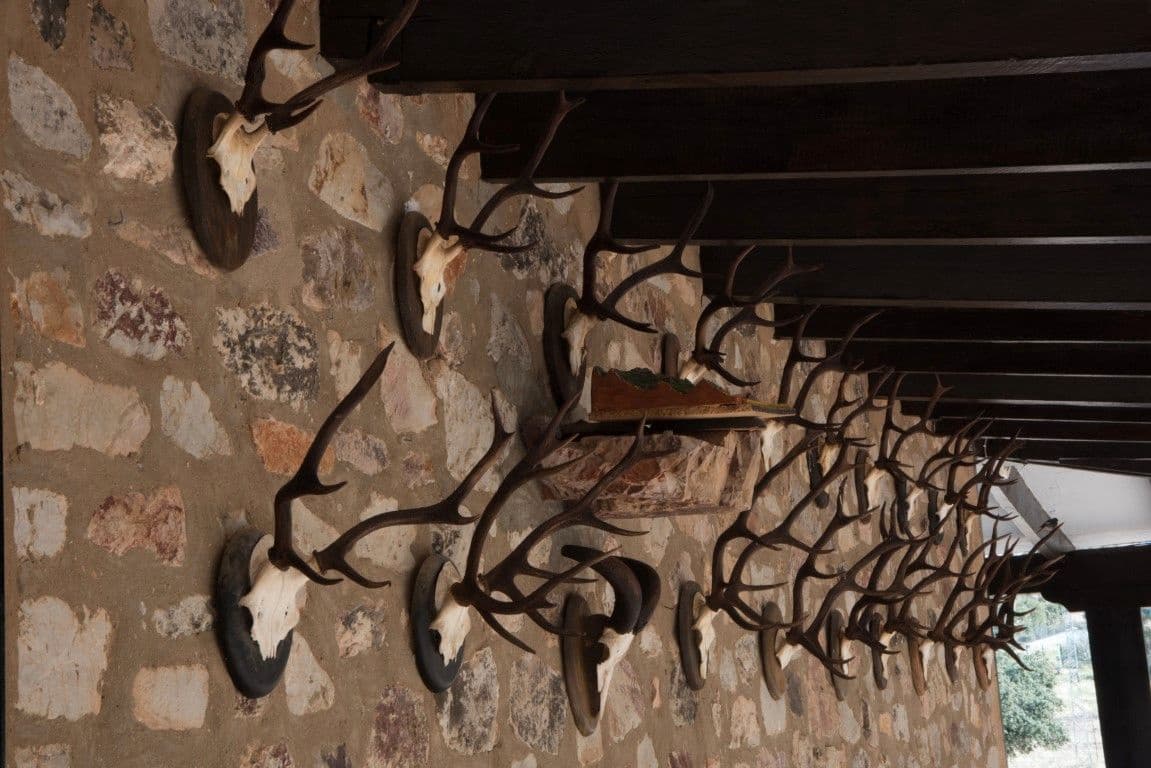 Finca/Country House for sale in Puertollano - € 3,500,000 (Ref: 9495007)