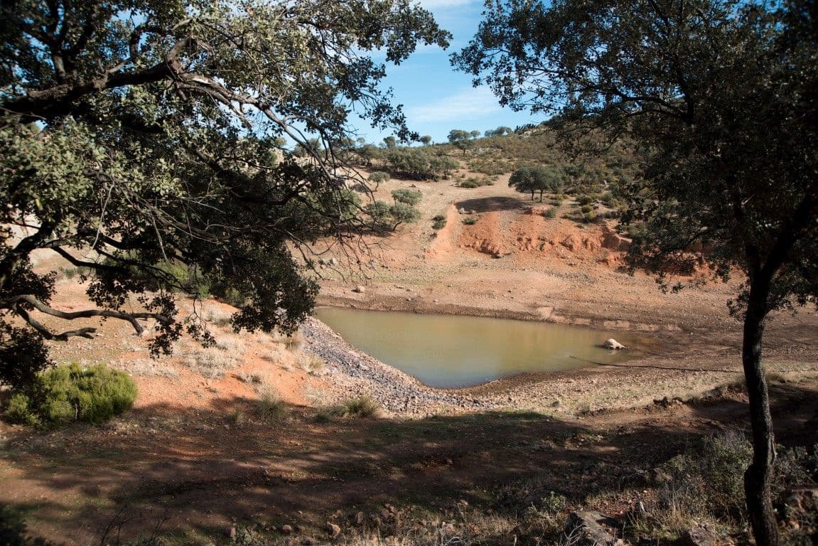 Finca/Country House for sale in Puertollano - € 3,500,000 (Ref: 9495007)