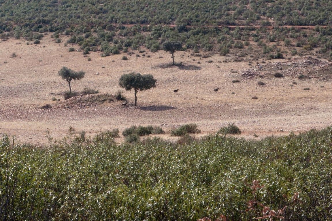 Finca/Country House for sale in Puertollano - € 3,500,000 (Ref: 9495007)