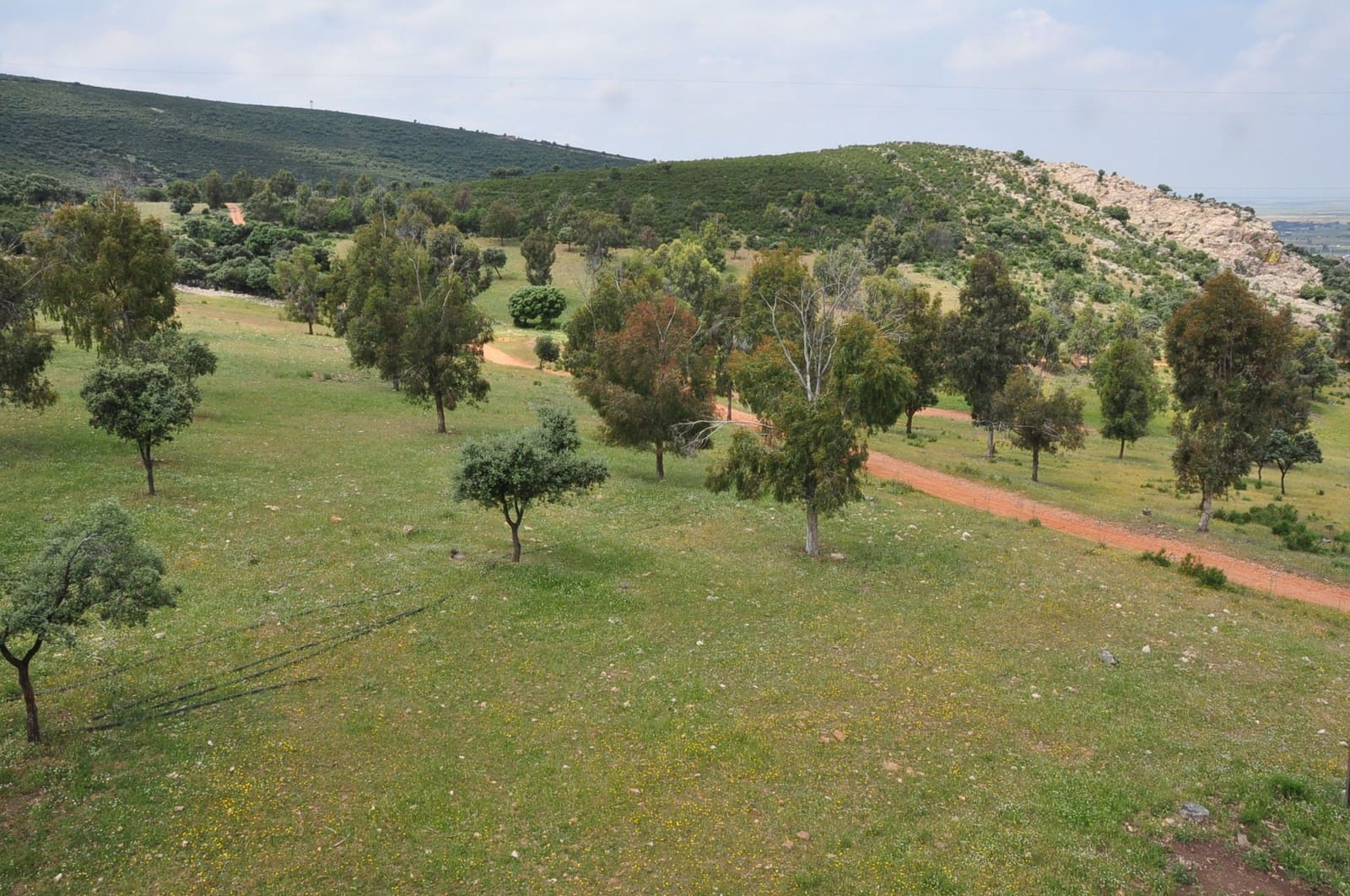 Finca/Country House for sale in Puertollano - € 3,500,000 (Ref: 9495007)