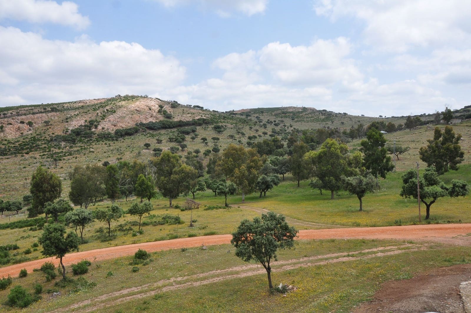 Finca/Country House for sale in Puertollano - € 3,500,000 (Ref: 9495007)