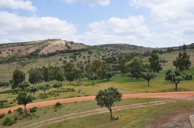 Finca/Country House for sale in Puertollano - € 3,500,000 (Ref: 9495007)