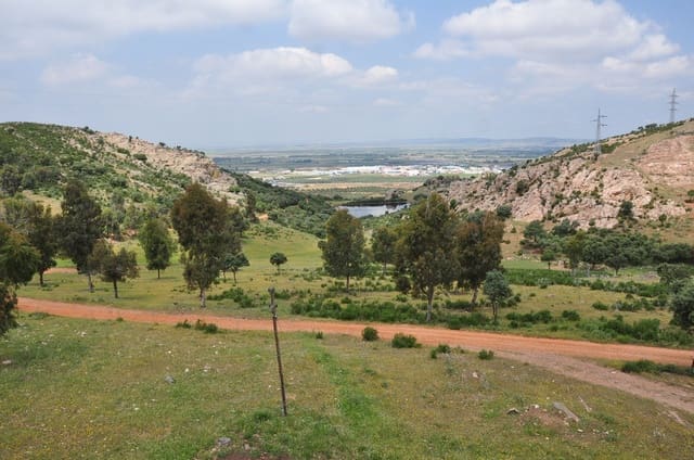 Finca/Country House for sale in Puertollano - € 3,500,000 (Ref: 9495007)