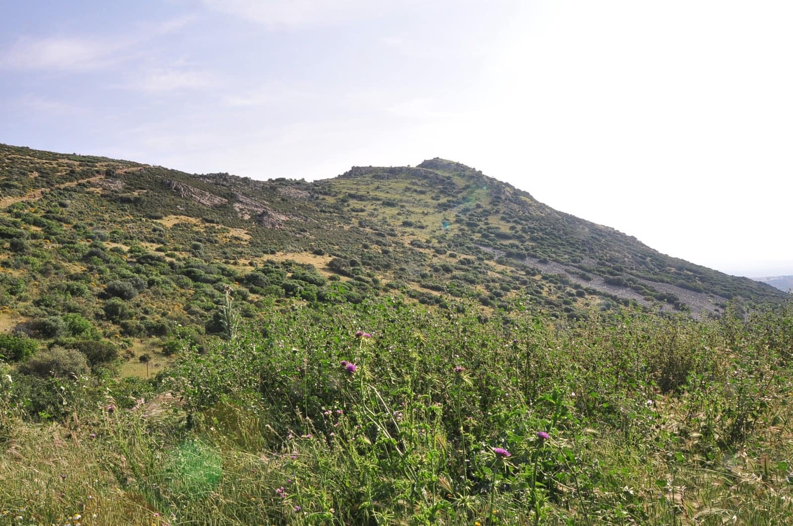 Finca/Country House for sale in Puertollano - € 3,500,000 (Ref: 9495007)