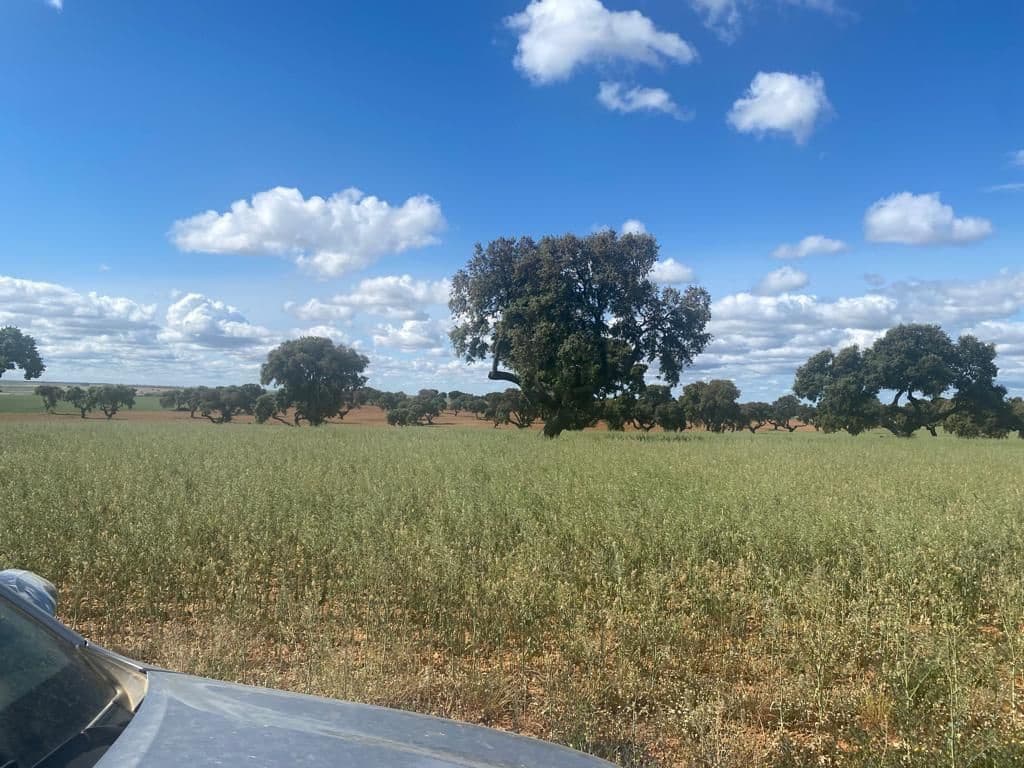 Finca/Country House for sale in Motilla del Palancar - € 6,800,000 (Ref: 9495008)