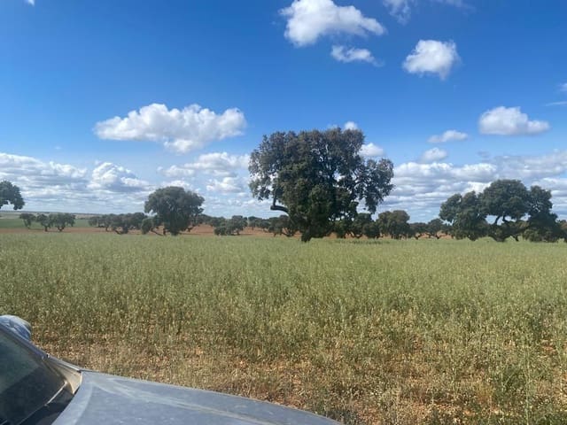 Finca/Country House for sale in Motilla del Palancar - € 6,800,000 (Ref: 9495008)