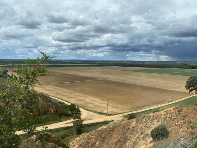 Finca/Country House for sale in Motilla del Palancar - € 6,800,000 (Ref: 9495008)