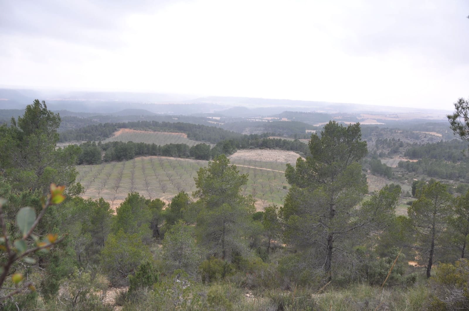 Finca/Country House for sale in Jaen city - € 25,000,000 (Ref: 9495009)