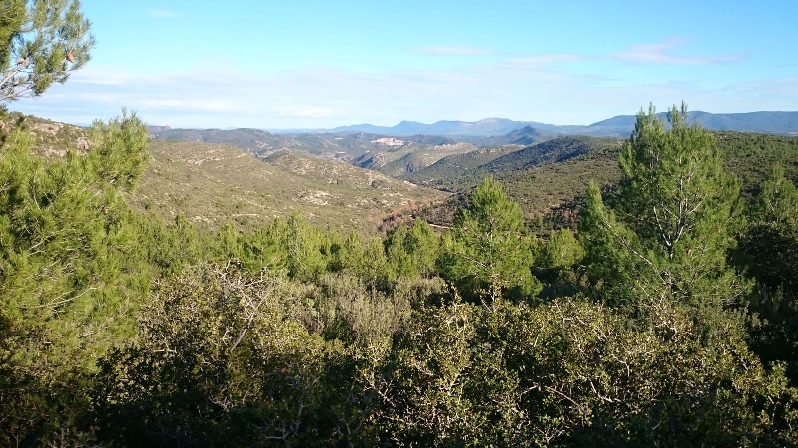 Finca/Country House for sale in Jaen city - € 25,000,000 (Ref: 9495009)