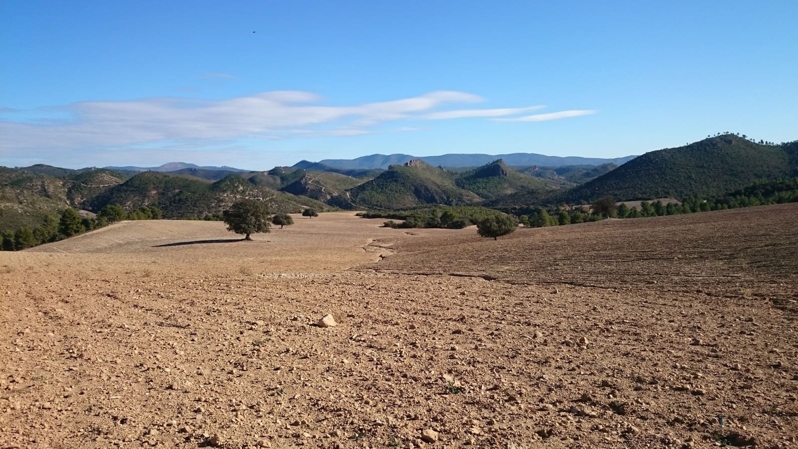 Finca/Country House for sale in Jaen city - € 25,000,000 (Ref: 9495009)