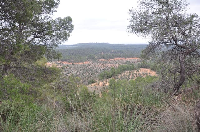 Finca/Country House for sale in Jaén city - € 25,000,000 (Ref: 9495009)