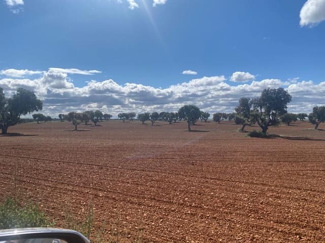 Finca/Country House for sale in Pedanías, Albacete city - € 3,200,000 (Ref: 9495010)