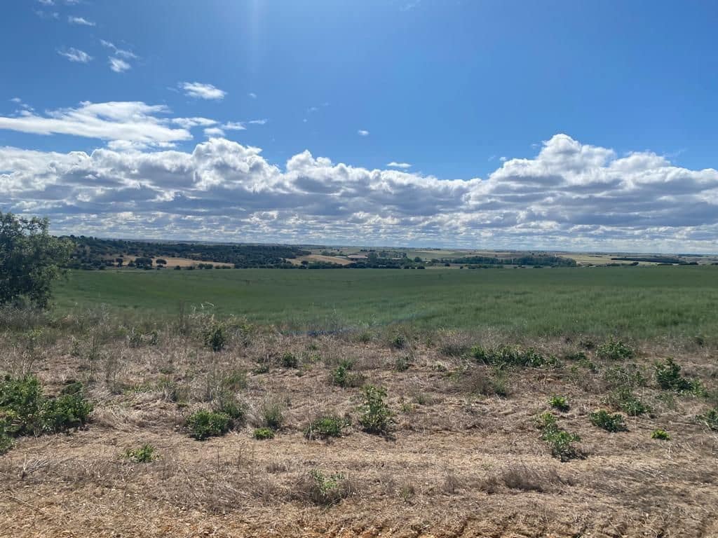 Finca/Country House for sale in Albacete city - € 3,200,000 (Ref: 9495010)