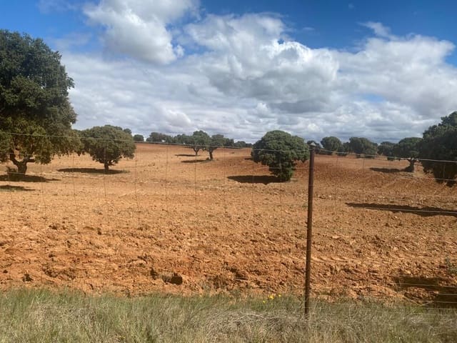 Finca/Country House for sale in Pedanías, Albacete city - € 3,200,000 (Ref: 9495010)