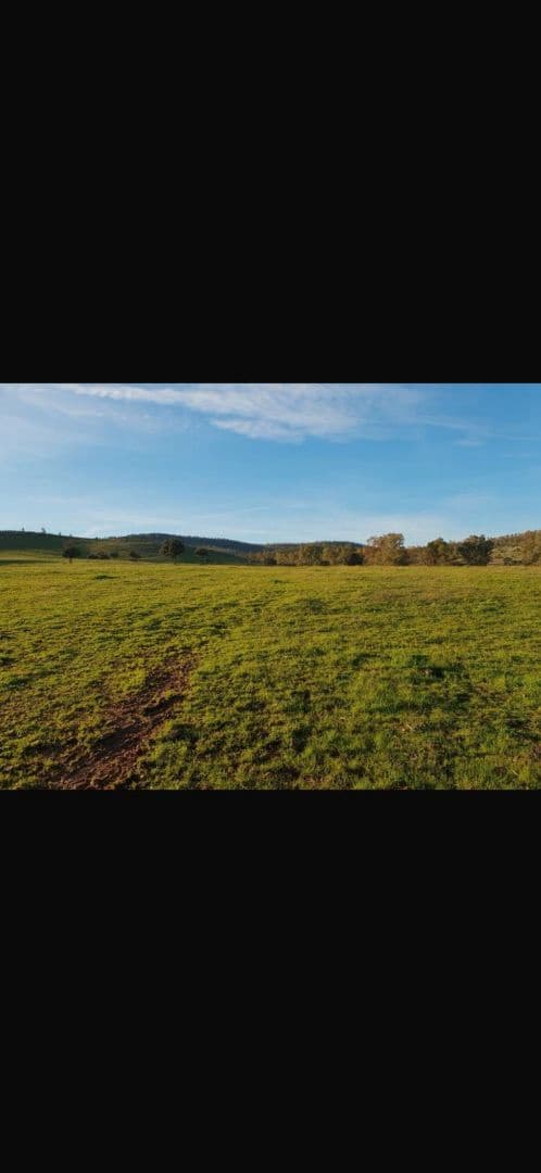 Finca/Country House for sale in El Bonillo - € 1,500,000 (Ref: 9495011)