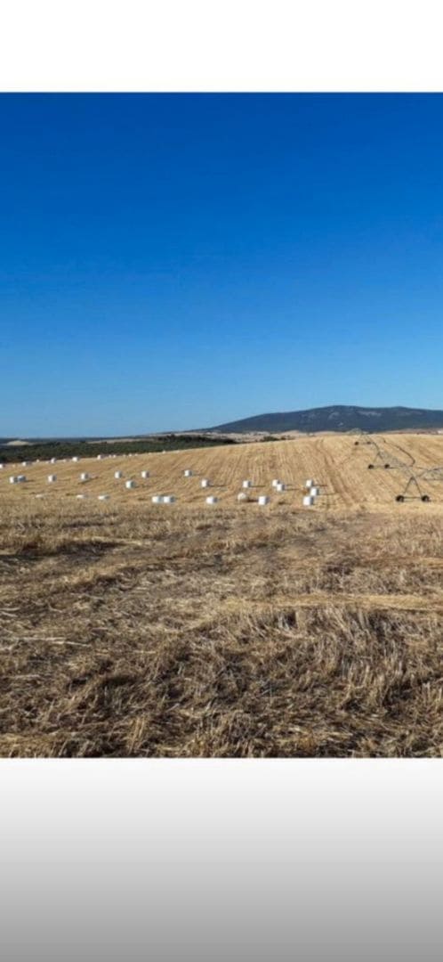 Finca/Country House for sale in El Bonillo - € 1,500,000 (Ref: 9495011)