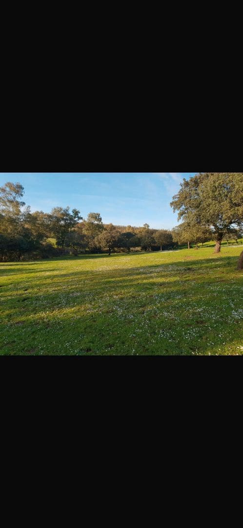 Finca/Country House for sale in El Bonillo - € 1,500,000 (Ref: 9495011)