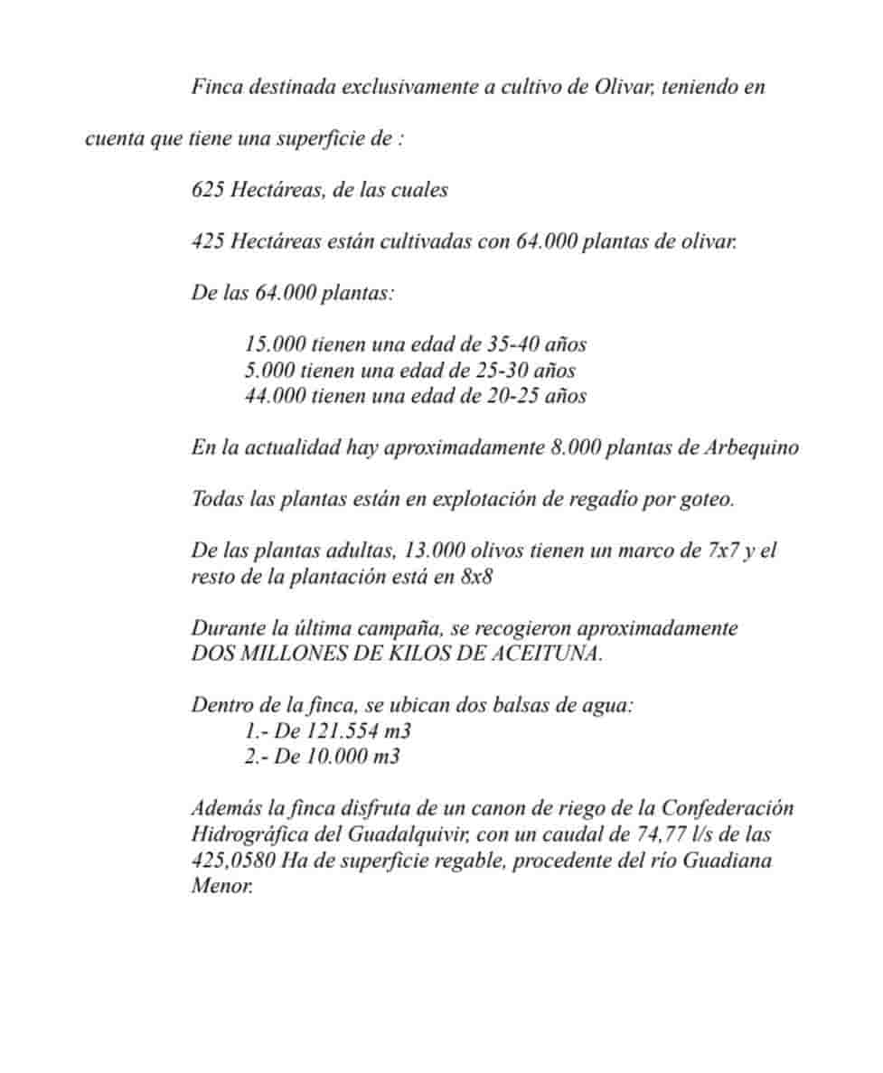 Commercial for sale in Jaen city - € 17,000,000 (Ref: 9495012)