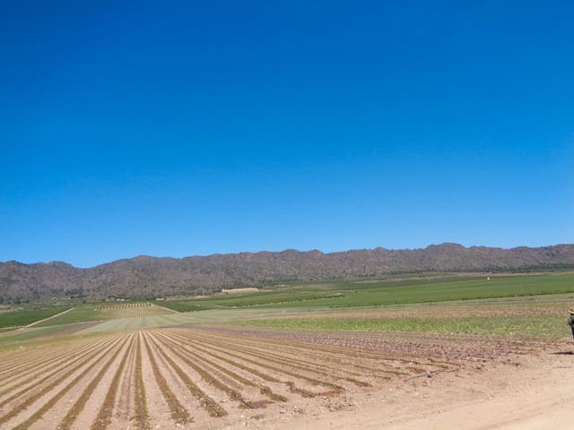 Terreno Não Urbanizado para venda em Carolinas Bajas, Alicante cidade - 685 000 € (Ref: 9495014)