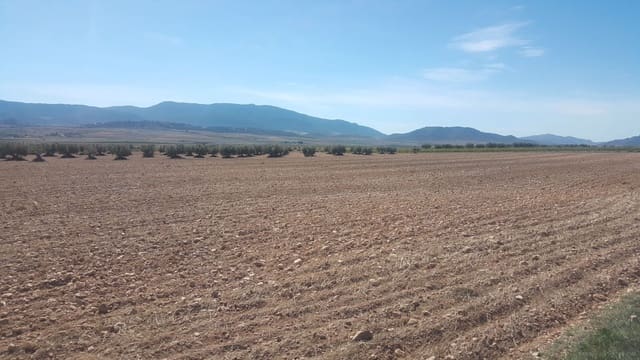 Terreno Não Urbanizado para venda em Carolinas Bajas, Alicante cidade - 685 000 € (Ref: 9495014)