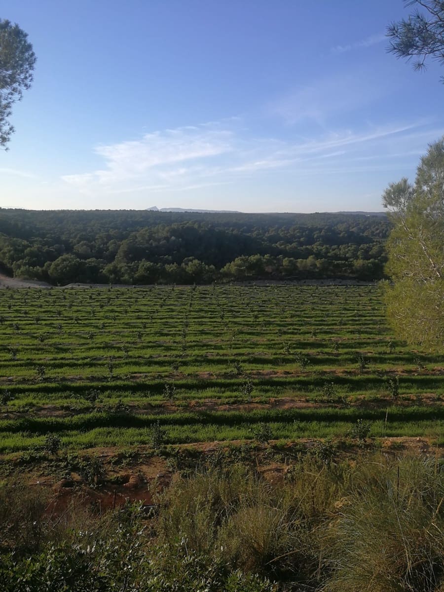 Finca/Landehus til salg i Puente Tocinos - € 6.000.000 (Ref: 9495015)