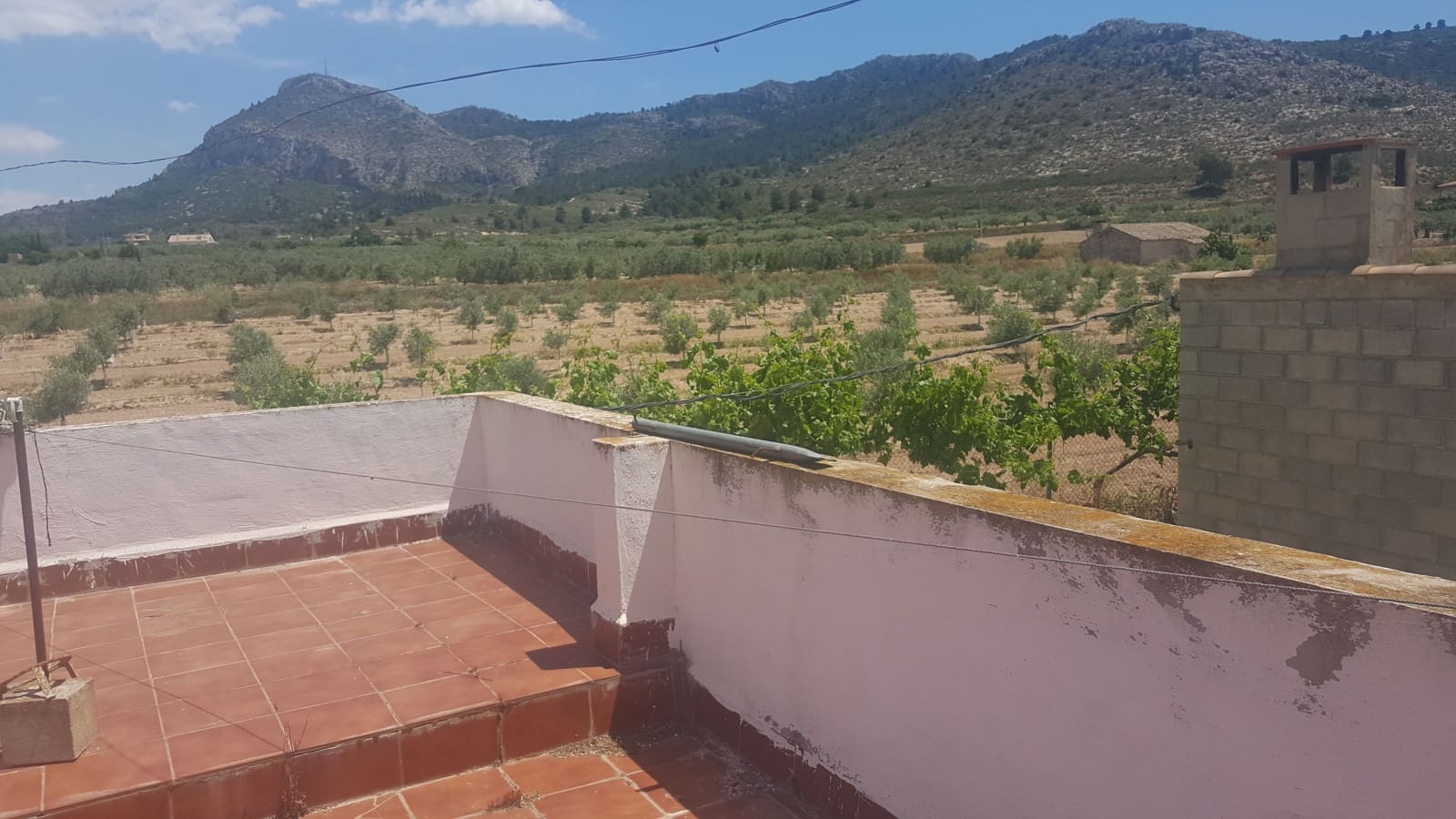 Finca/Country House for sale in Yecla - € 1,321,000 (Ref: 9495016)