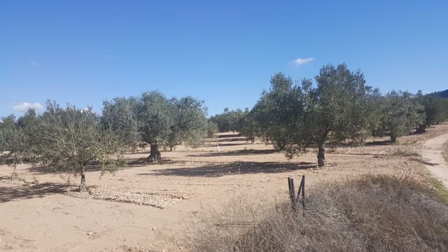 Quinta/Casa Rural para venda em Yecla - 1 321 000 € (Ref: 9495016)