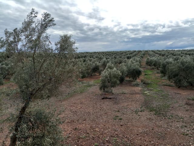 Finca/Country House for sale in Los Remedios, Seville city - € 8,500,000 (Ref: 9495017)