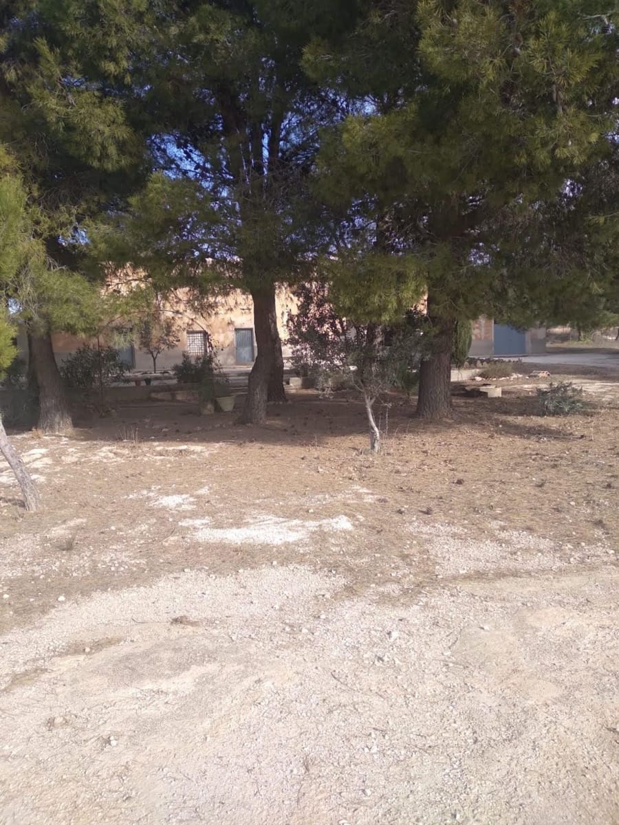 Finca/Country House for sale in Yecla - € 500,000 (Ref: 9495019)