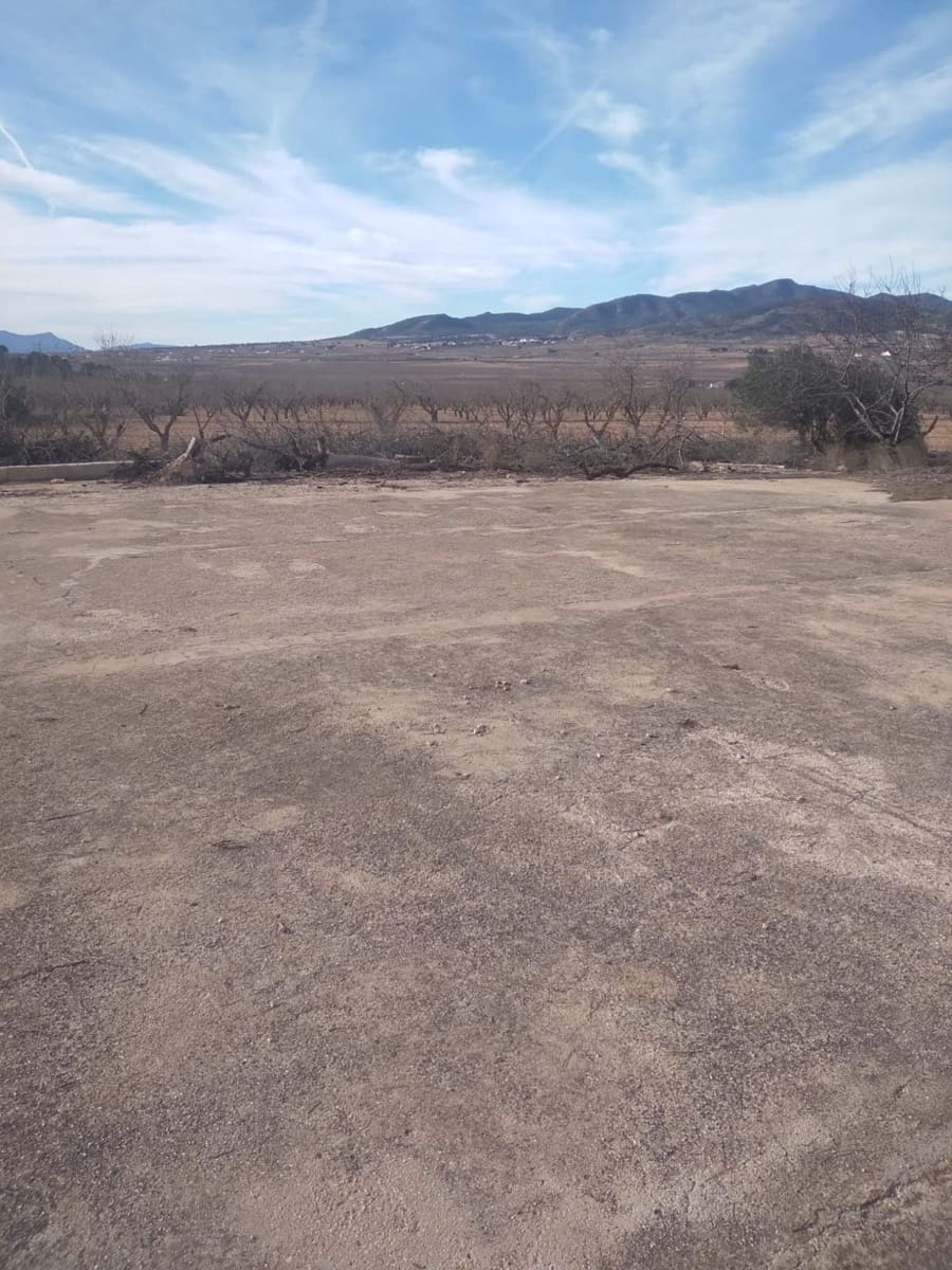 Finca/Country House for sale in Yecla - € 500,000 (Ref: 9495019)