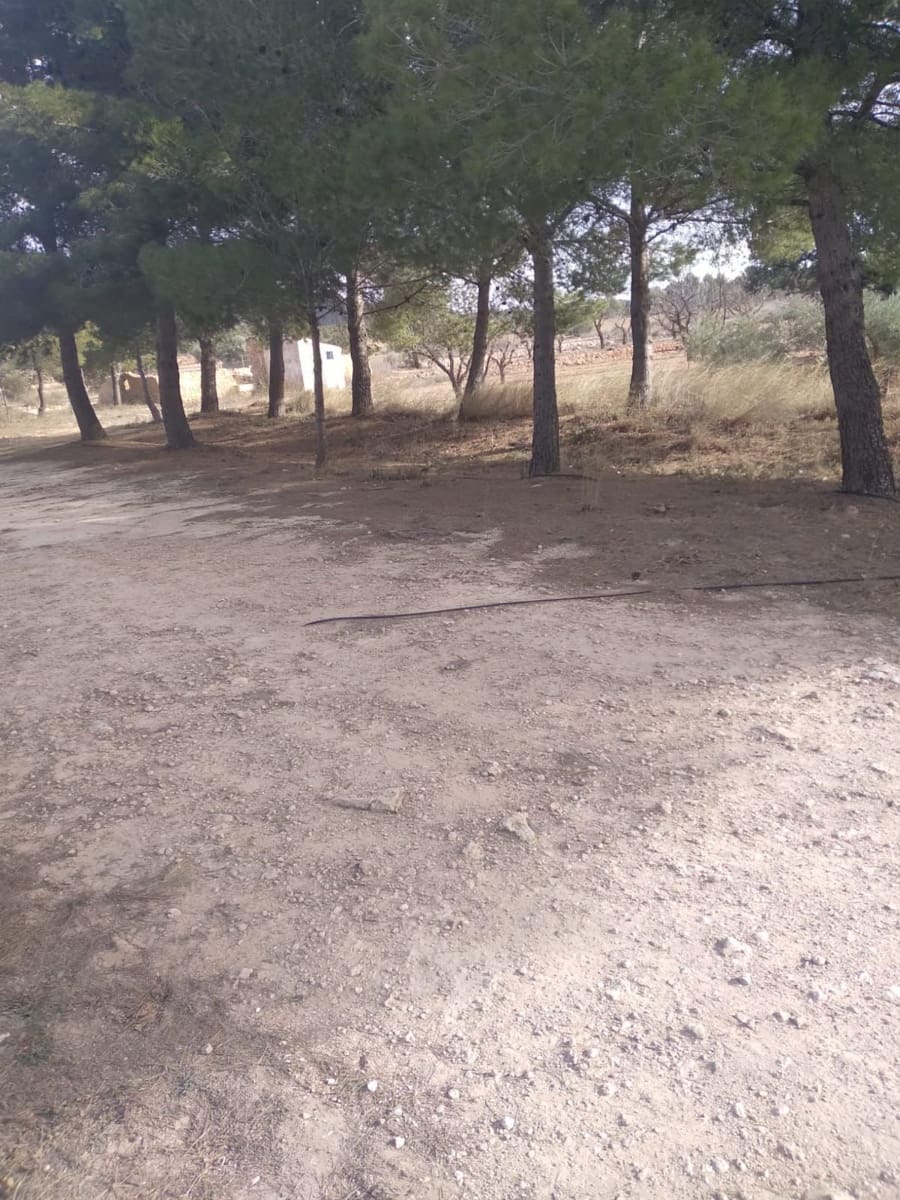 Finca/Country House for sale in Yecla - € 500,000 (Ref: 9495019)