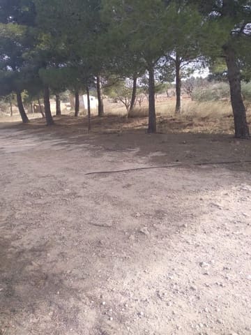 Quinta/Casa Rural para venda em Yecla - 500 000 € (Ref: 9495019)