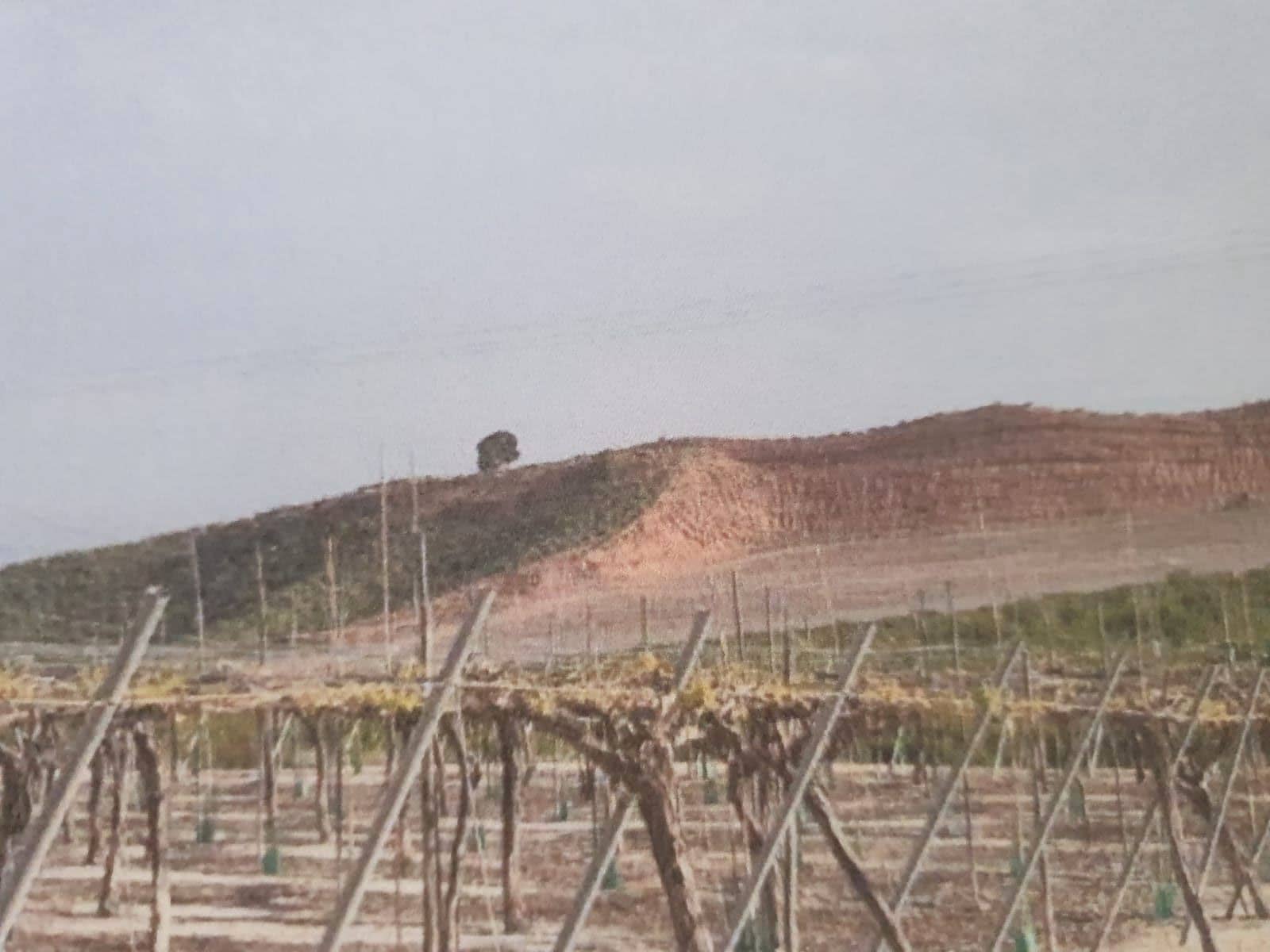 Finca/Landehus til salg i Murcia by - € 100.000 (Ref: 9495020)