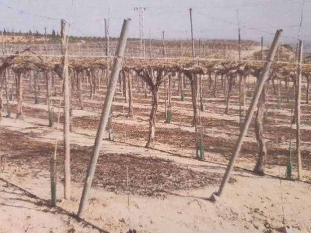 Finca/Landehus til salg i San Antón, Murcia by - € 100.000 (Ref: 9495020)