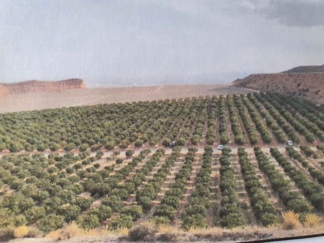 Finca/Landehus til salg i San Antón, Murcia by - € 100.000 (Ref: 9495020)