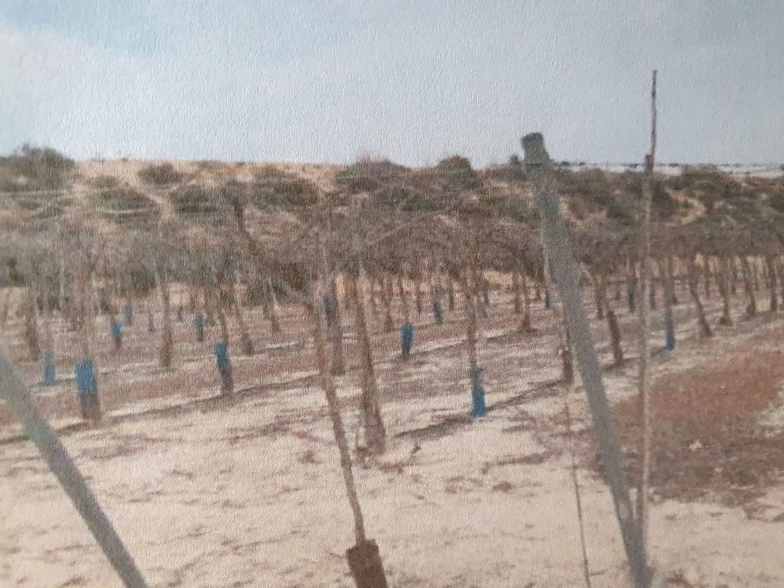 Finca/Landehus til salg i Murcia by - € 100.000 (Ref: 9495020)