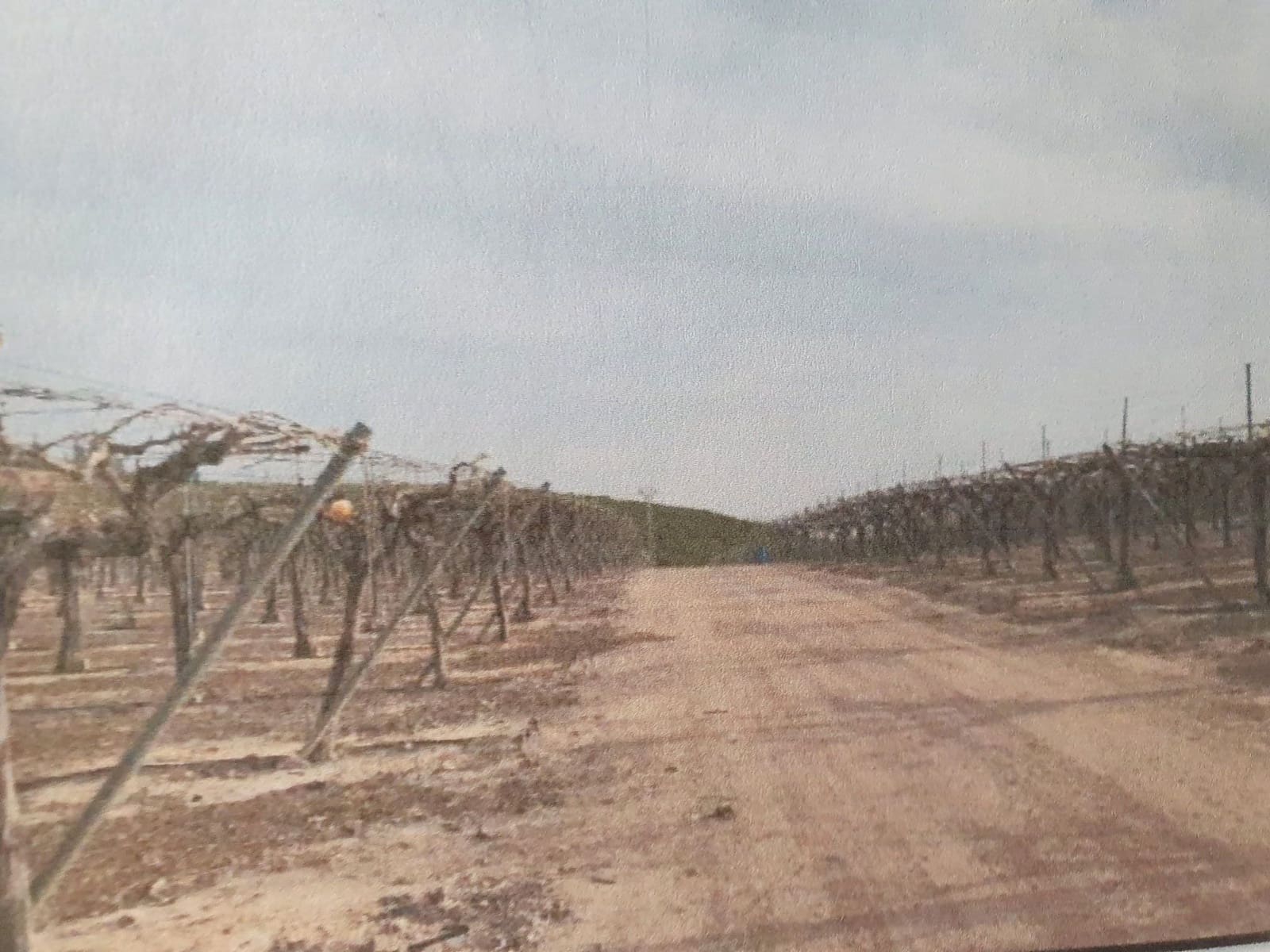 Finca/Landehus til salg i Murcia by - € 100.000 (Ref: 9495020)