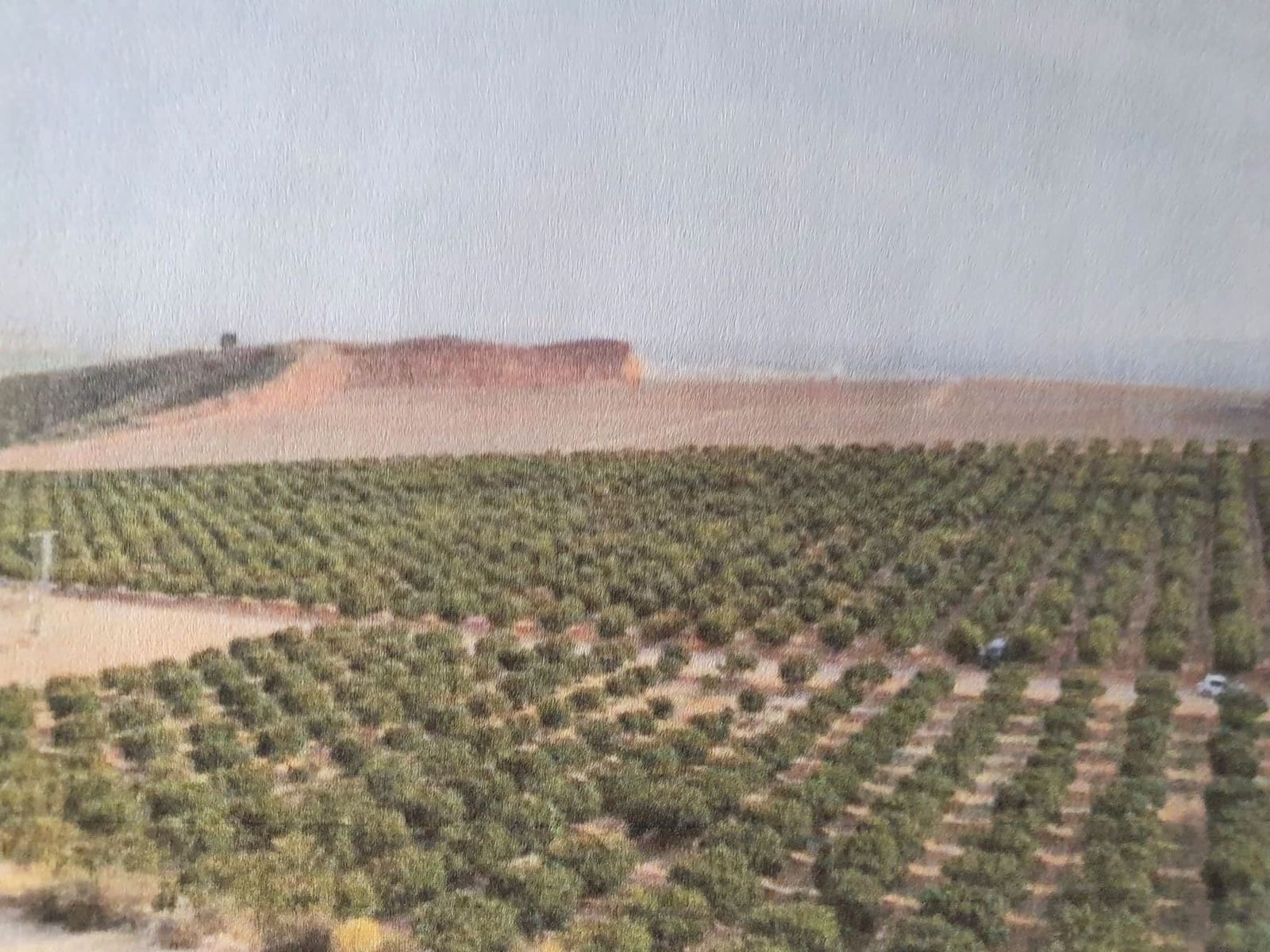 Finca/Landehus til salg i Murcia by - € 100.000 (Ref: 9495020)