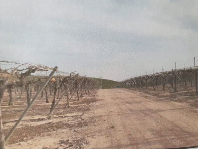 Finca/Landehus til salg i San Antón, Murcia by - € 100.000 (Ref: 9495020)