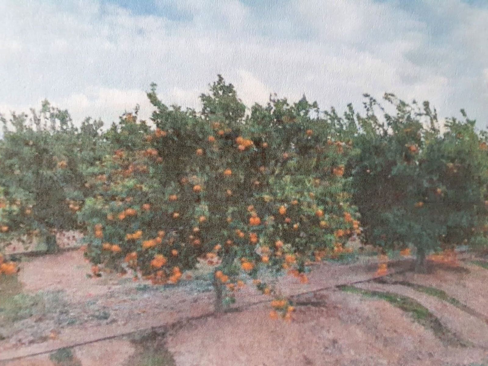 Finca/Landehus til salg i Murcia by - € 100.000 (Ref: 9495020)