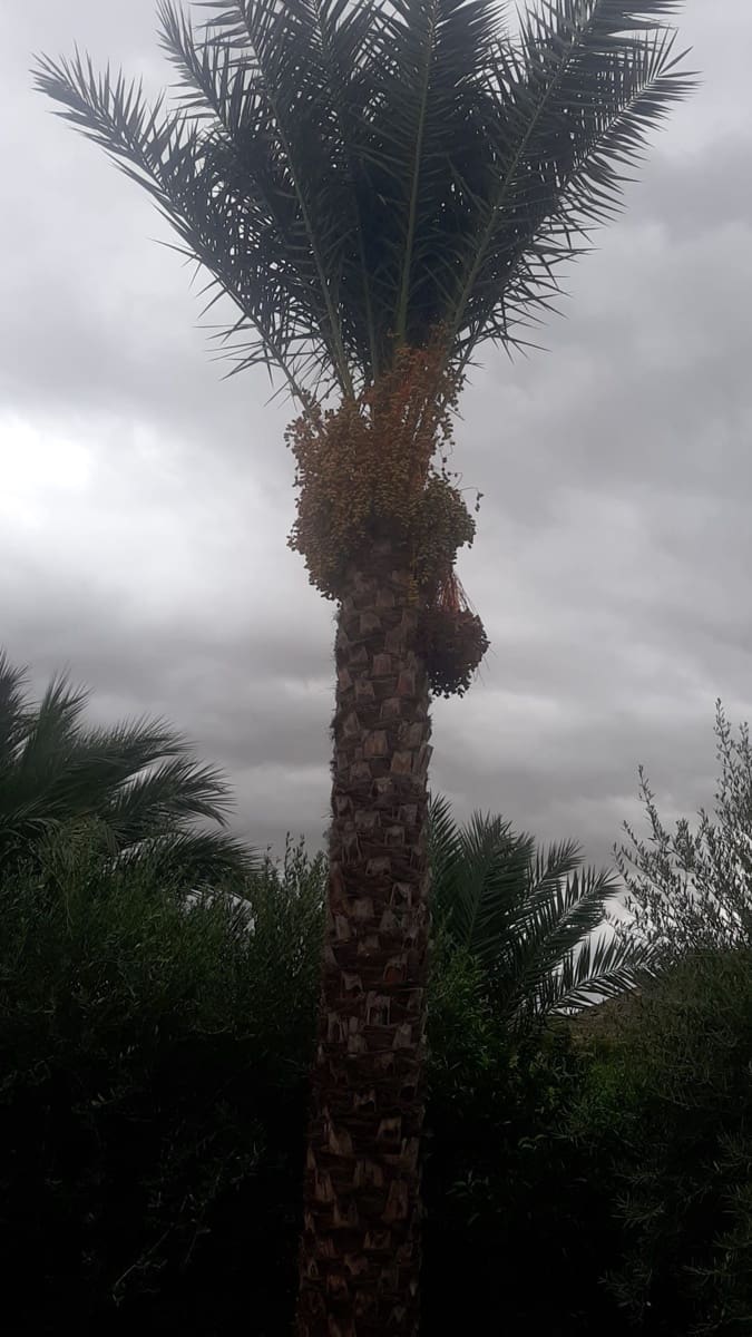 Finca/Country House for sale in Algezares - € 970,000 (Ref: 9495021)