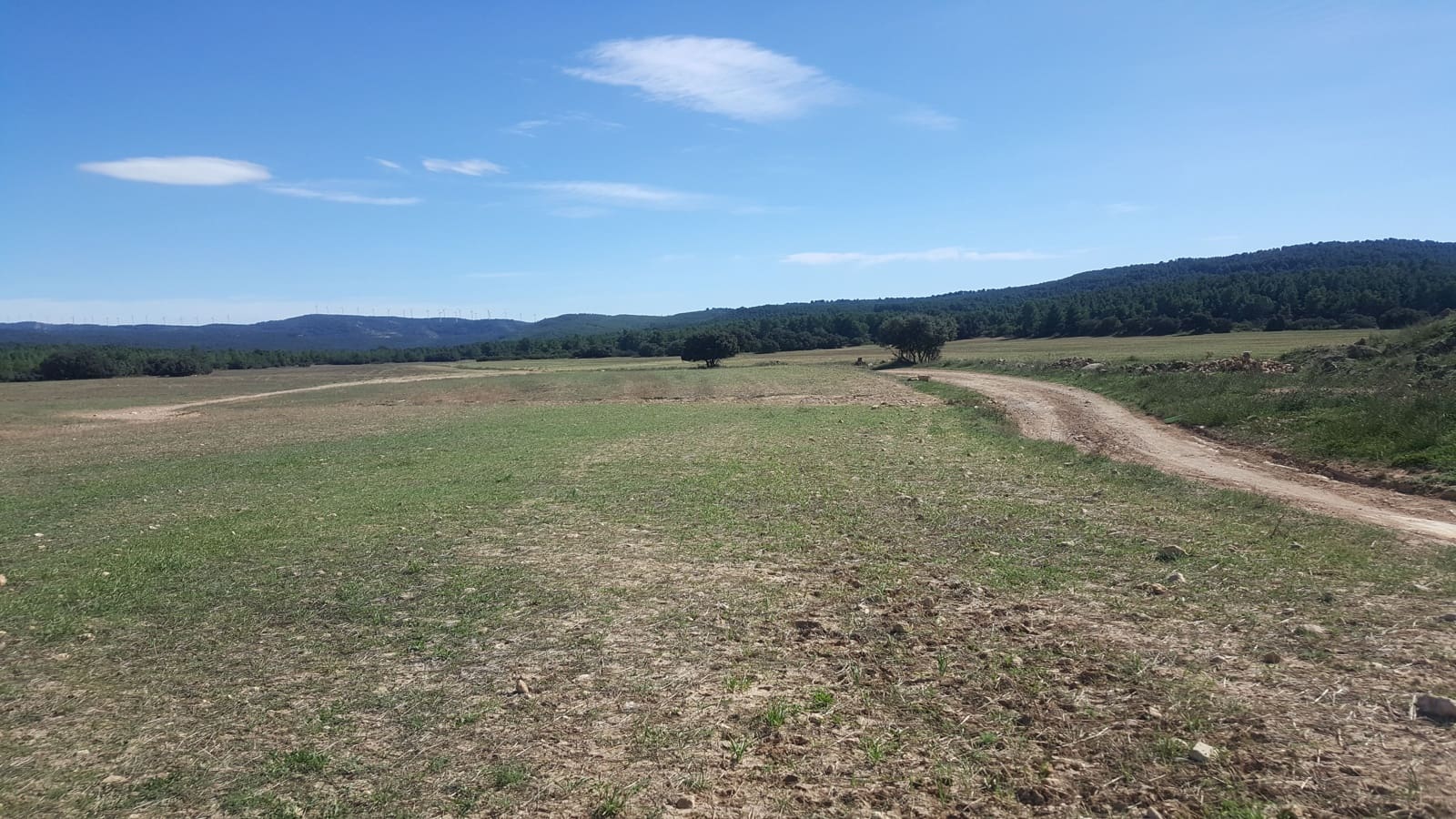 Finca/Casa di Campagna in vendita in Almansa - 1.200.000 € (Rif: 9495022)