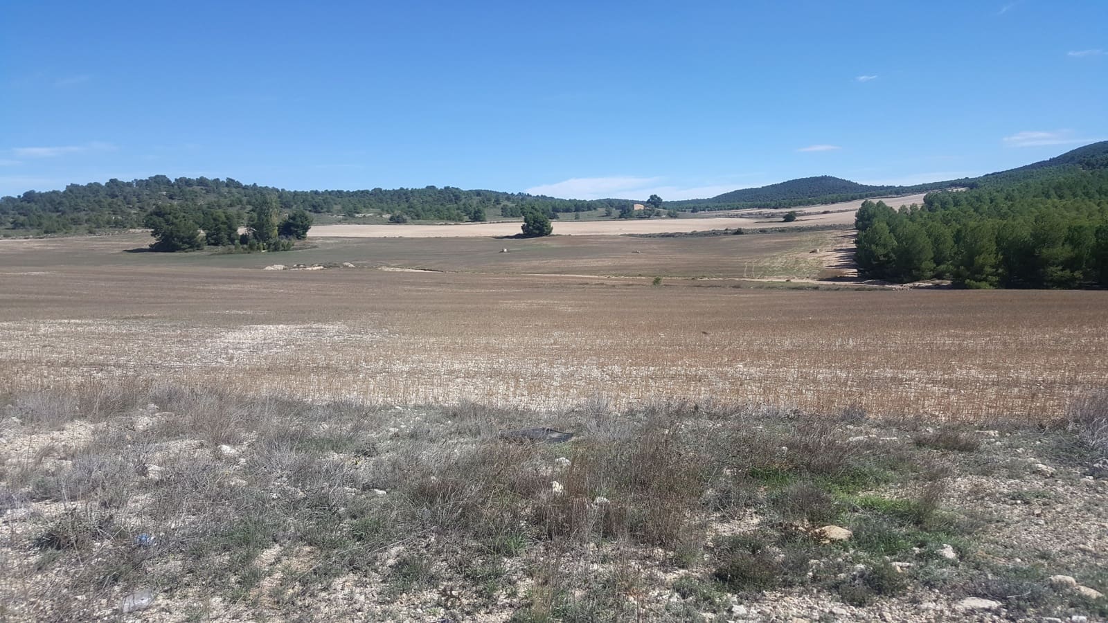 Finca/Casa di Campagna in vendita in Almansa - 1.200.000 € (Rif: 9495022)